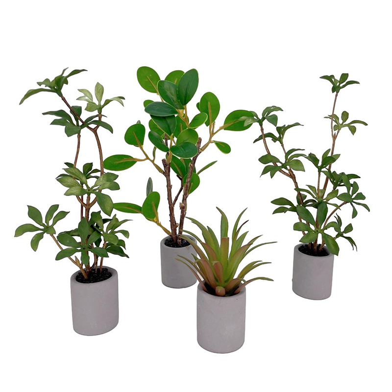 Bonsai Garden Accessories - 1:6 Casa delle bambole in miniatura