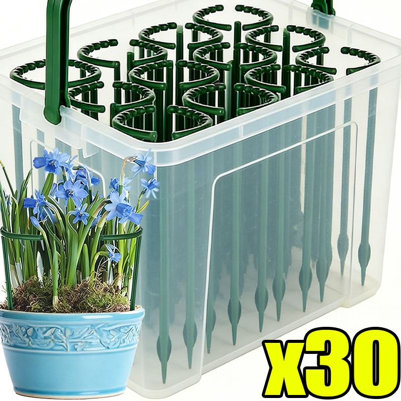 Bonsai Garden Accessories - 30-1 Pezzi Supporto per Piante in