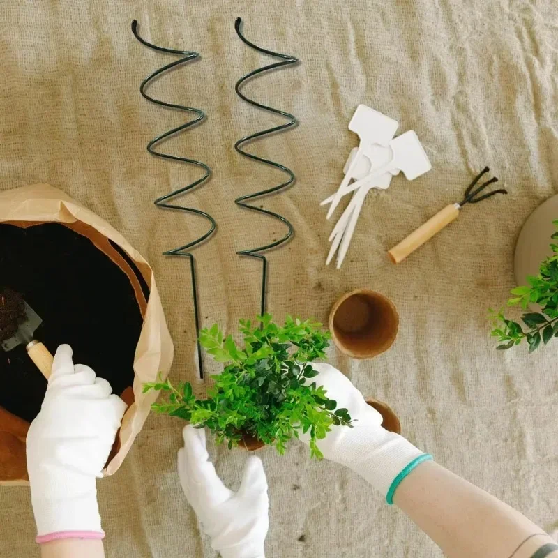Supporto per Piante Rampicanti - Us Bonsai Garden recensione e prezzo
