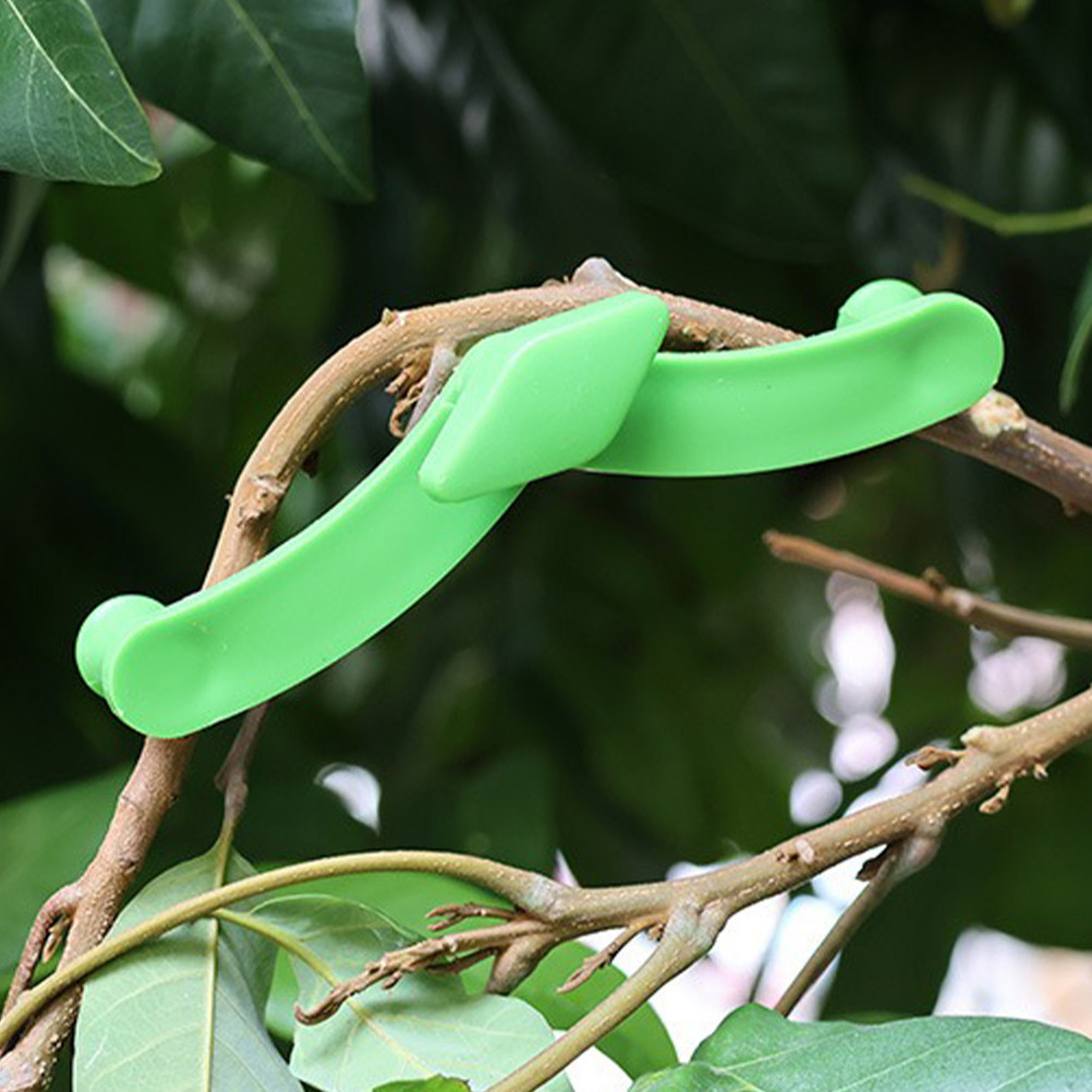 5 Pezzi Stabilizzatore per Ram - Us Bonsai Garden recensione e prezzo