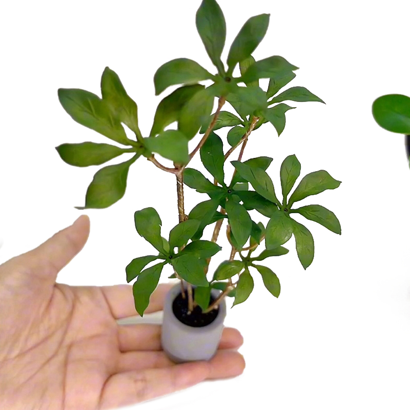 1:6 casa delle bambole in mini - Bonsai Garden Accessories recensione e prezzo