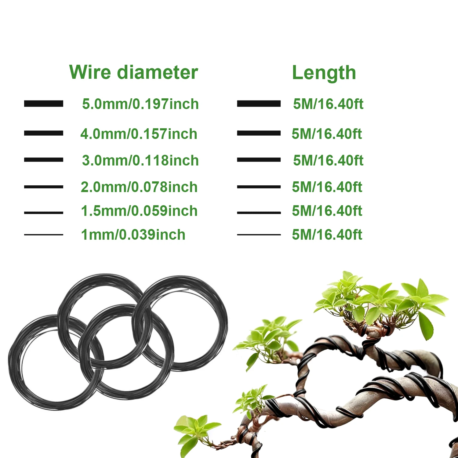 1 Pezzo Filo per Bonsai in All - Bonsai Garden Accessories recensione e prezzo