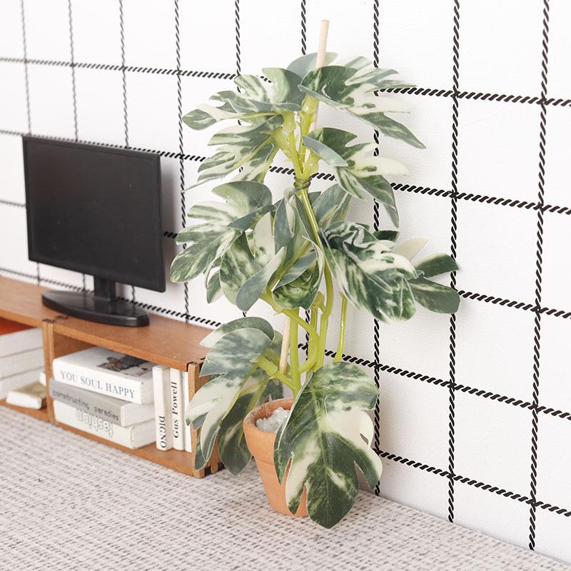 1/12 Simulazione di casa delle - Us Bonsai Garden recensione e prezzo