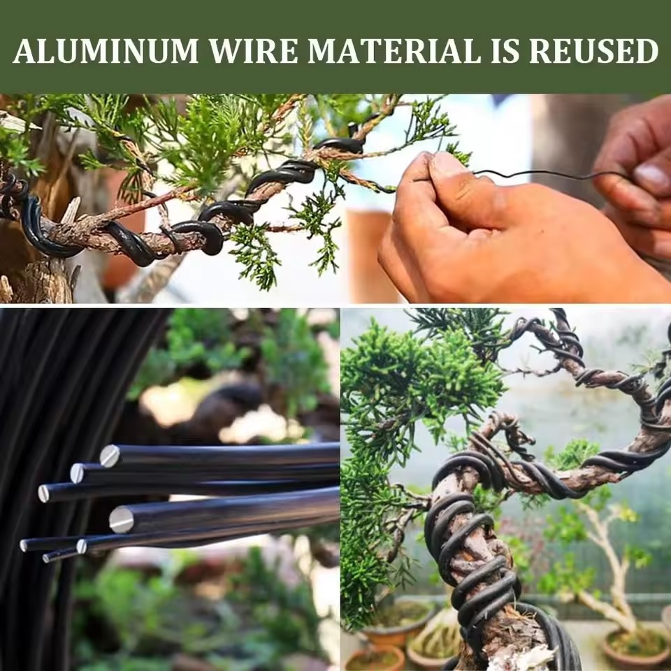 Accessori per Modellare Piante - Bonsai Garden Accessories recensione e prezzo