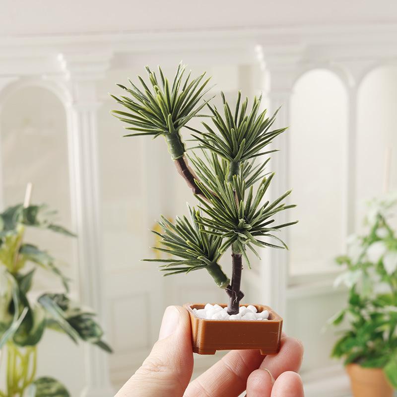 1 Pezzo Albero di Pino in Mini - Us Bonsai Garden recensione e prezzo