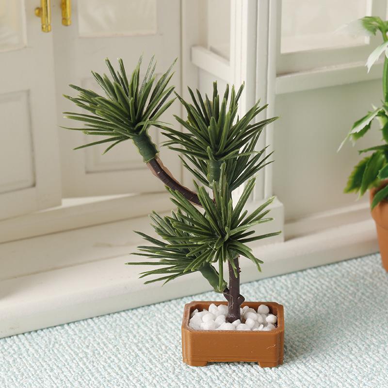 1 Pezzo Albero di Pino in Mini - Us Bonsai Garden recensione e prezzo