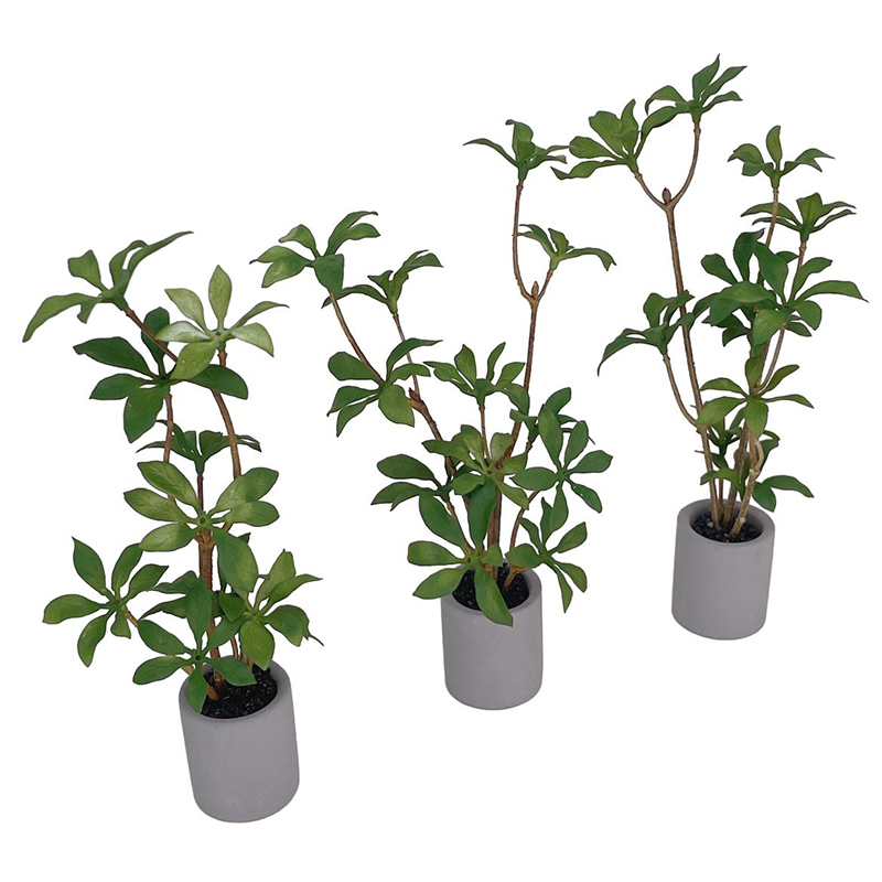 1:6 Casa delle bambole in mini - Bonsai Garden Accessories recensione e prezzo