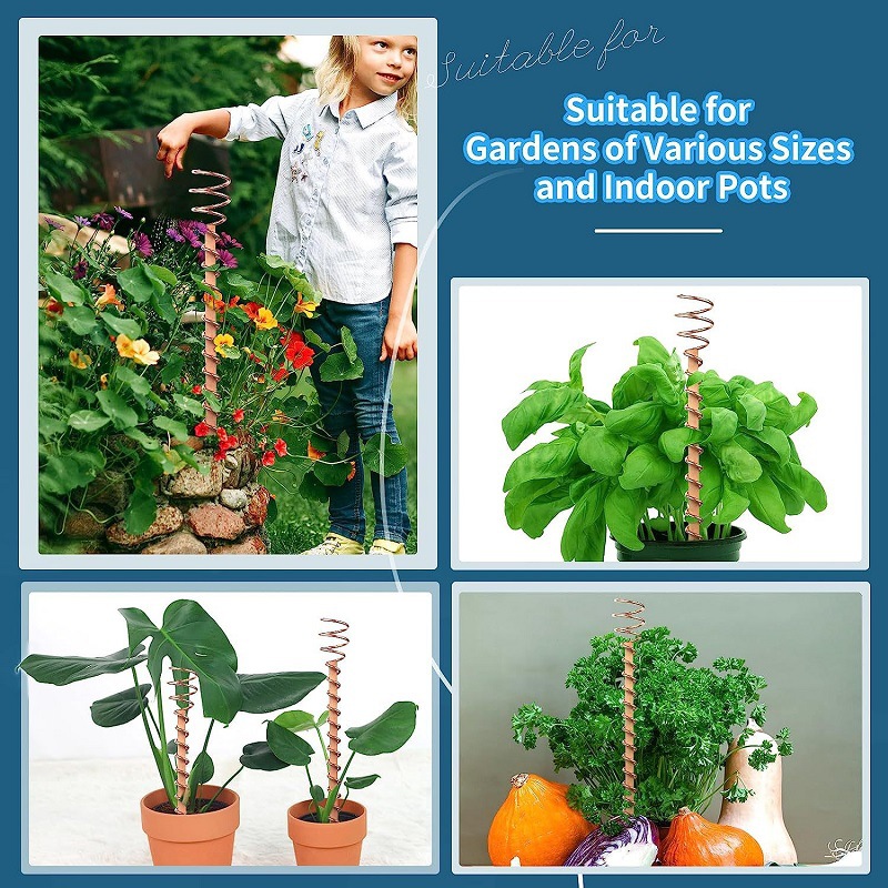 Pali per piante in rame per el - Bonsai Garden Accessories recensione e prezzo