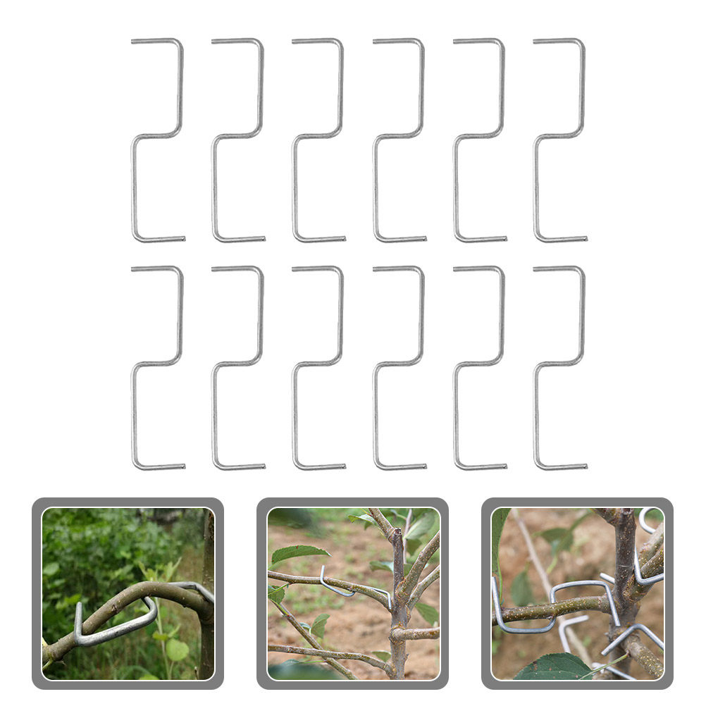1 Set di Attrezzi per la Forma - Us Bonsai Garden recensione e prezzo