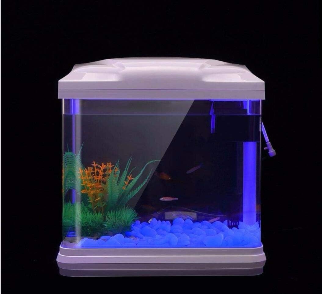 Rocce per acquari che si illum - Bonsai Garden Accessories recensione e prezzo