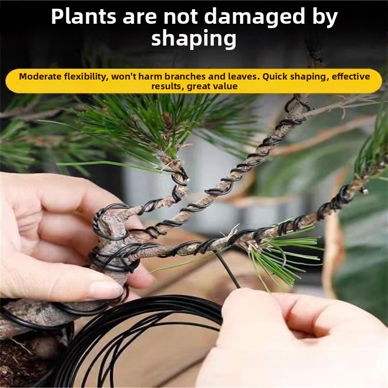 Fili per Bonsai da 1,5 mm in A - Bonsai Garden Accessories recensione e prezzo