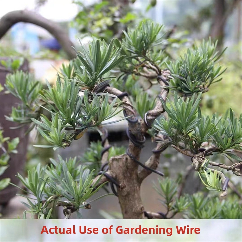 Fili per Bonsai da 1,5 mm in A - Bonsai Garden Accessories recensione e prezzo