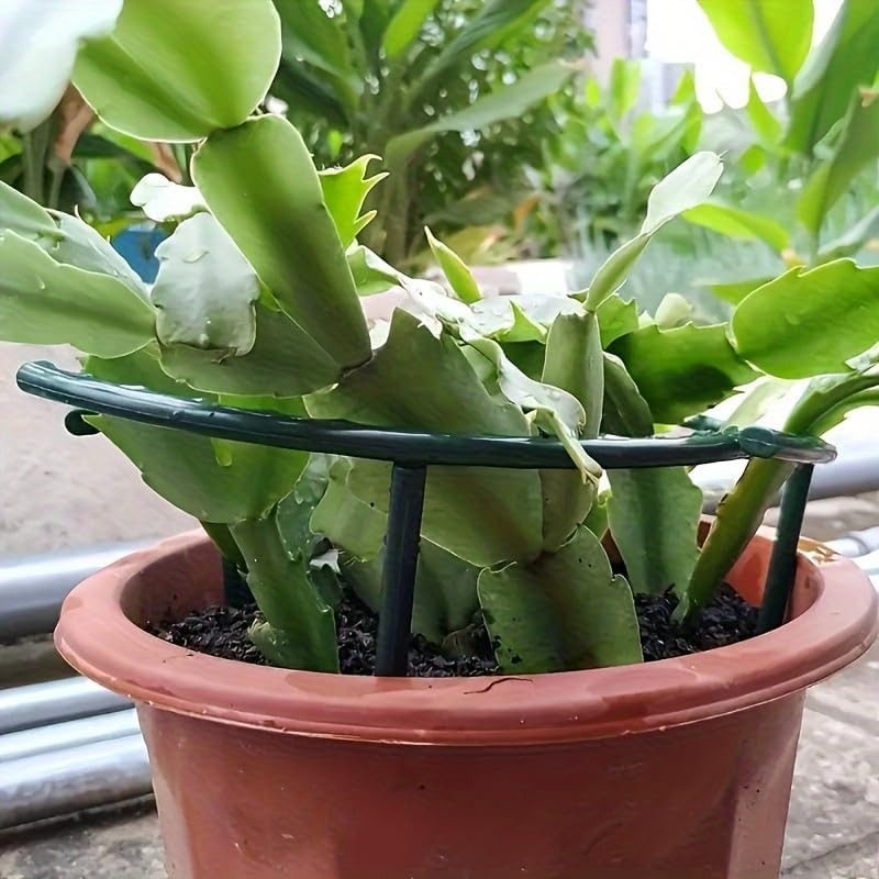 30-1 Pezzi Supporto per Piante - Bonsai Garden Accessories recensione e prezzo