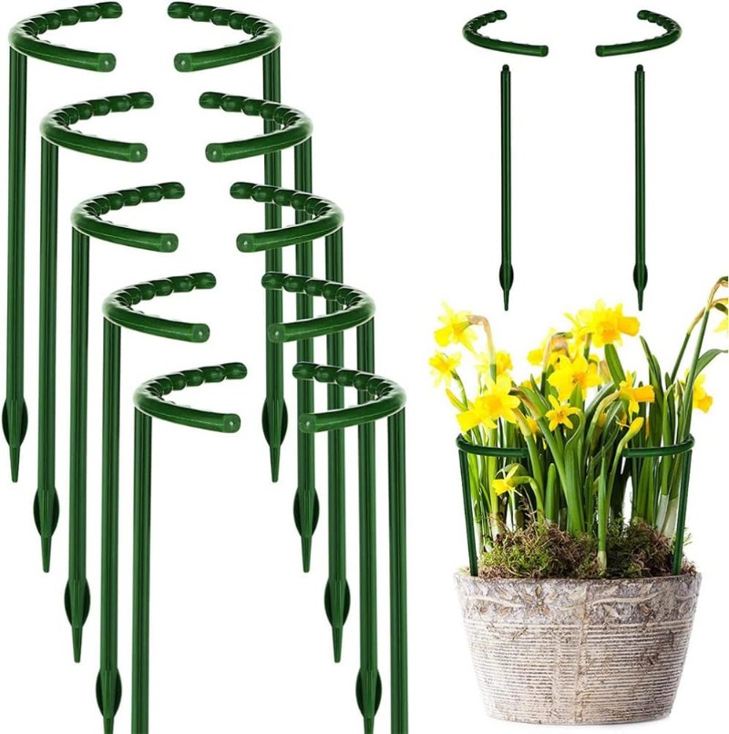 30-1 Pezzi Supporto per Piante - Bonsai Garden Accessories recensione e prezzo