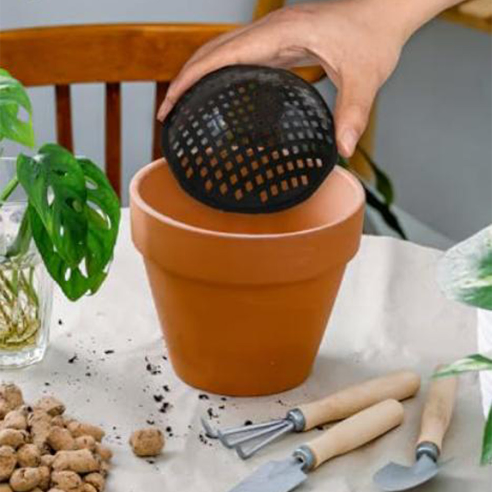 20/30 Pezzi Rete a Maglia per  - Bonsai Garden Accessories recensione e prezzo