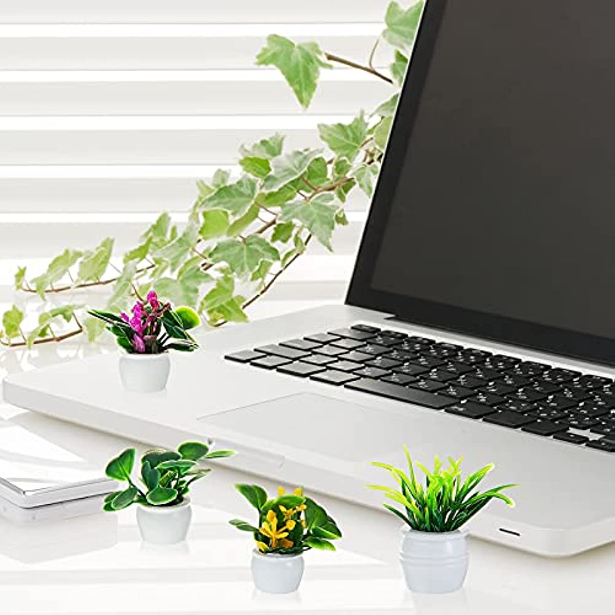 Pianta per casa delle bambole, - Bonsai Garden Accessories recensione e prezzo