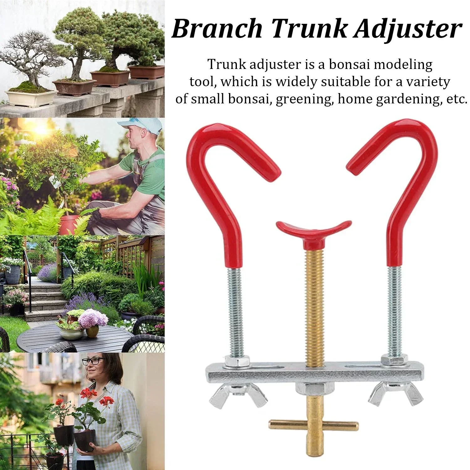 Kit di strumenti per piegare i - Bonsai Garden Accessories recensione e prezzo