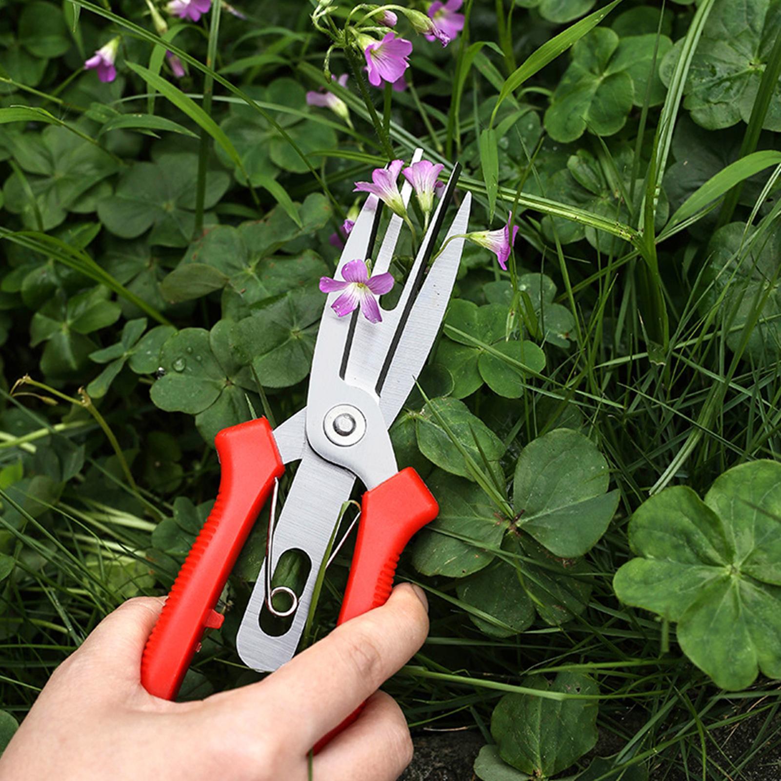 Forbici da Giardino in Acciaio - Us Bonsai Garden recensione e prezzo
