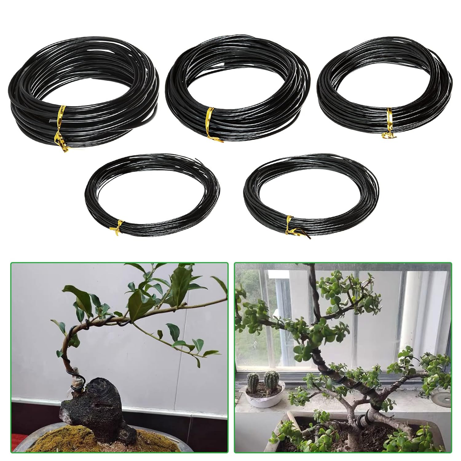 Filo per Bonsai in Alluminio A - Bonsai Garden Accessories recensione e prezzo