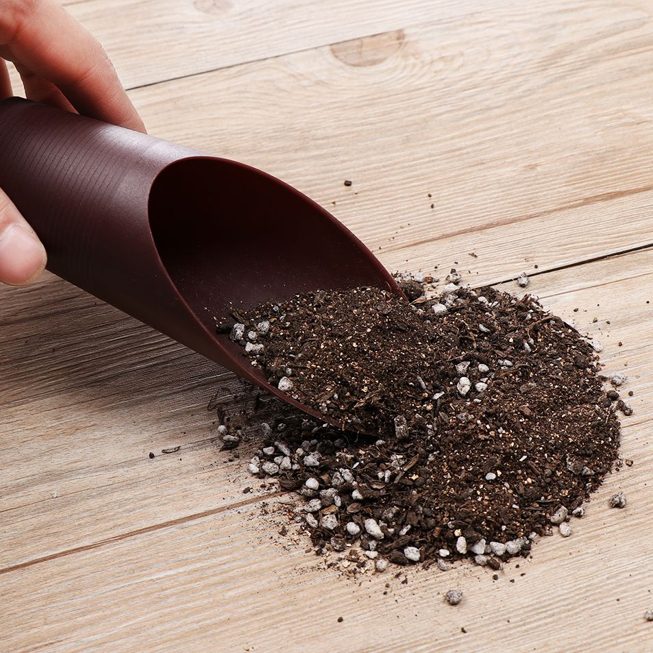 1 pz plastica terreno pala taz - Bonsai Garden Accessories recensione e prezzo