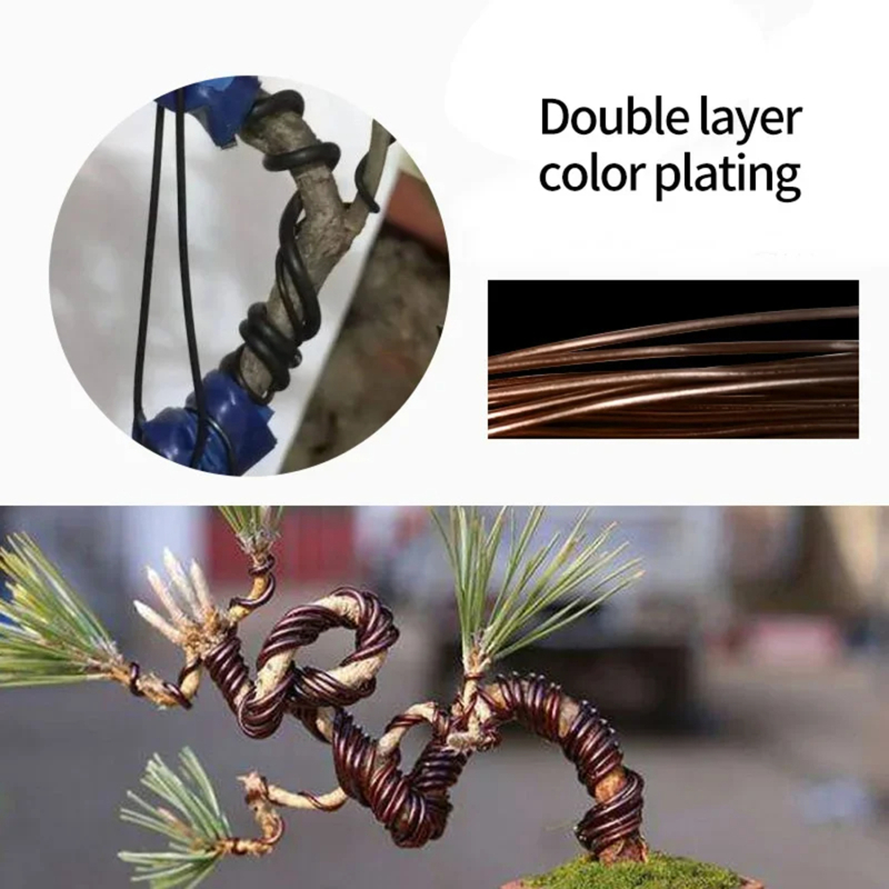Supporto per piante in filo pe - Bonsai Garden Accessories recensione e prezzo