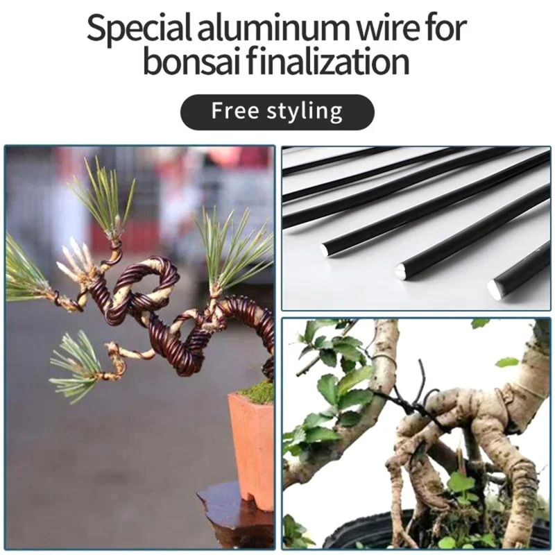 Supporto per piante in filo pe - Bonsai Garden Accessories recensione e prezzo